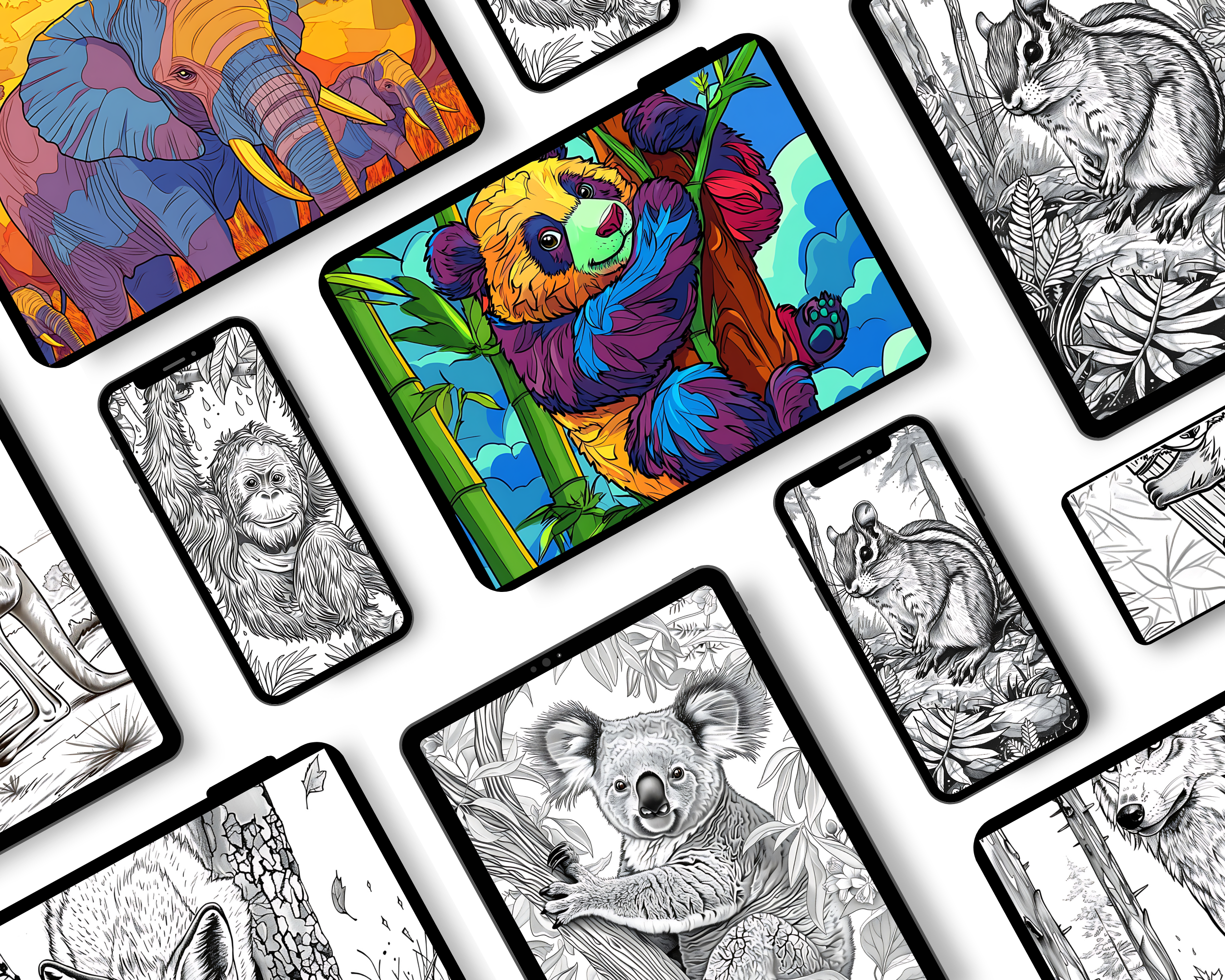 Animal Coloring Pages