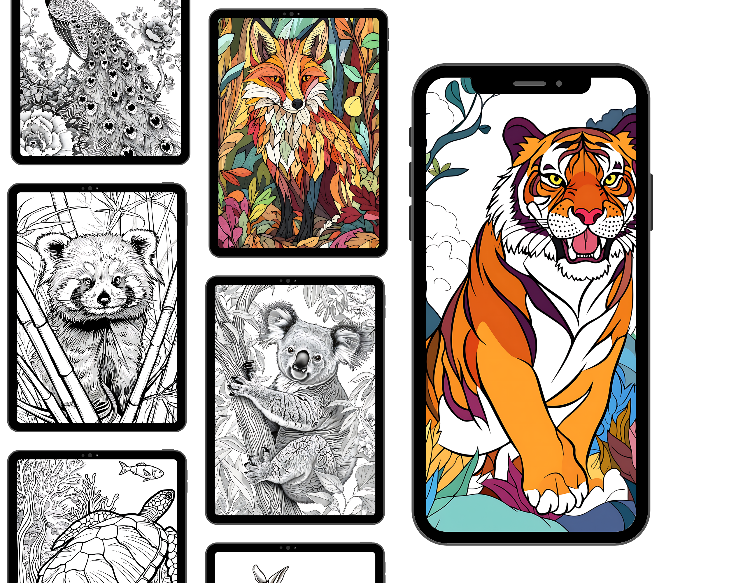 Animal Coloring Pages